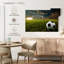 Football Sirci au coucher du soleil-107886770