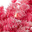 Couronne de Noël artificielle rose floquée pré-éclairée - lumières claires-1743919592