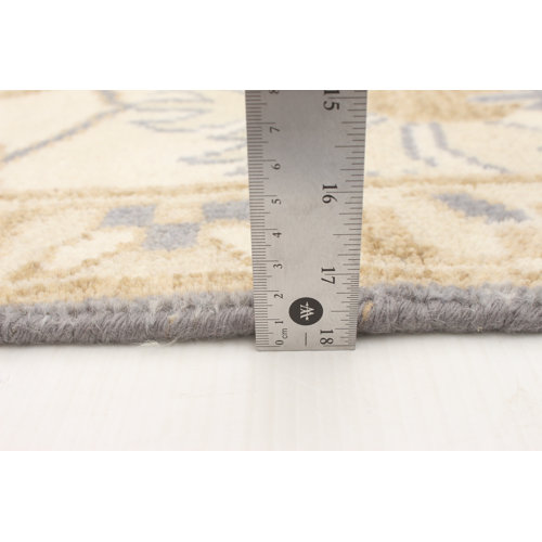 Isabelline One-of-a-Kind 9'11