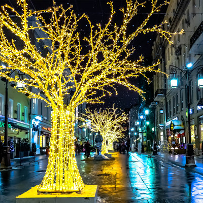 Guirlande lumineuse féerique à DEL 98 pi