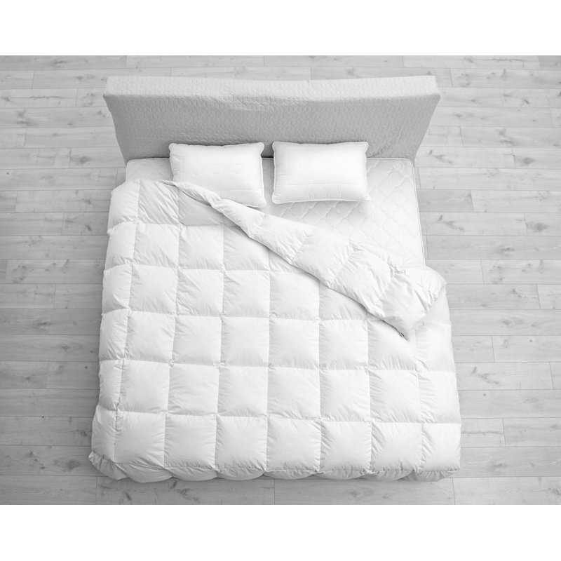 Édredon en duvet d'oie 550, Grand