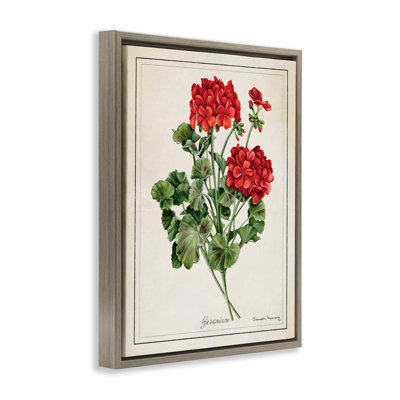 Vivid Red Geranium Blossoms Floater Canvas Wall Art, design by Danielle Murray