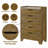 Garcia Chest