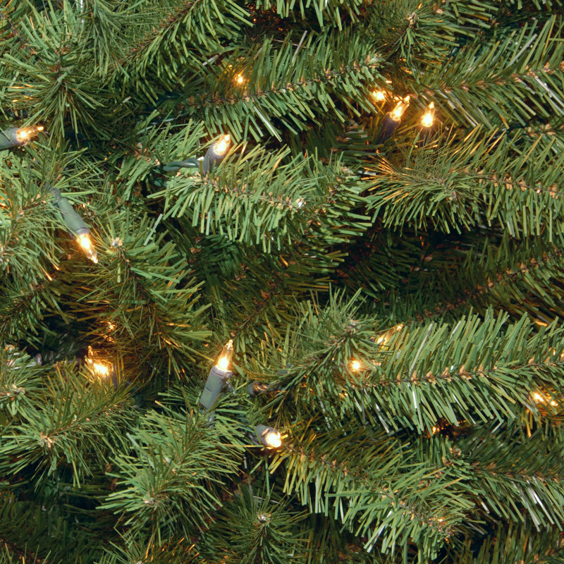 North Valley Spruce Tree with Clear Lights, 6.5 FT