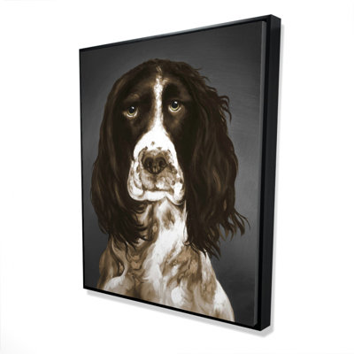 «Brown English Springer Spaniel» sur