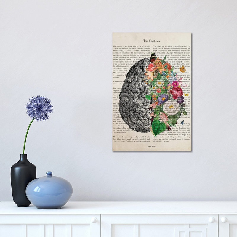 Brain Art Flower Anatomy Print by Aged Pixel - Wrapped Canvas Print, 30.48 cm H x 45.72 cm W