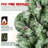 Scotch Pine Christmas Tree-97847696