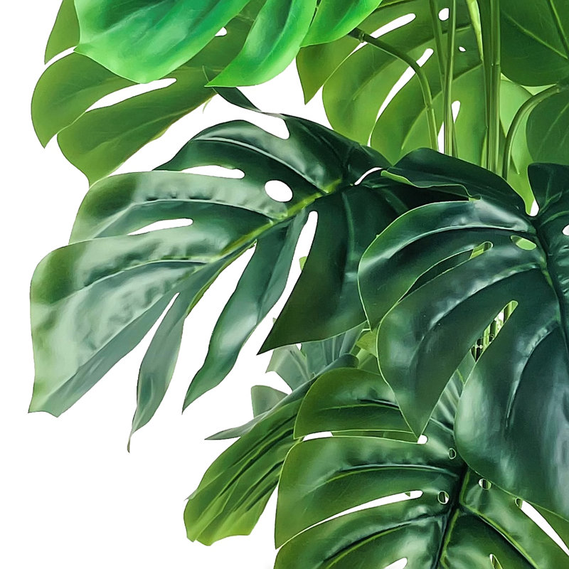 30-Inch Monstera Plant in Woven Natural Basket