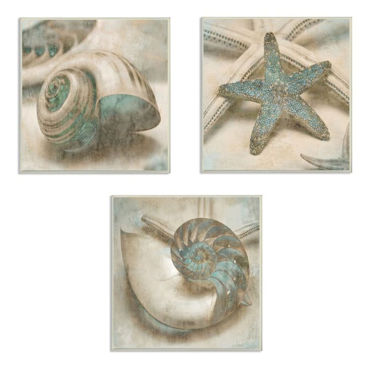 Star Fish and Sea Shells Distressed Texture Blue Tan Design' by John Seba - 3 Piece Graphic Art Print Set Dovecove Format: Wall Plaque, Size: 12 H x