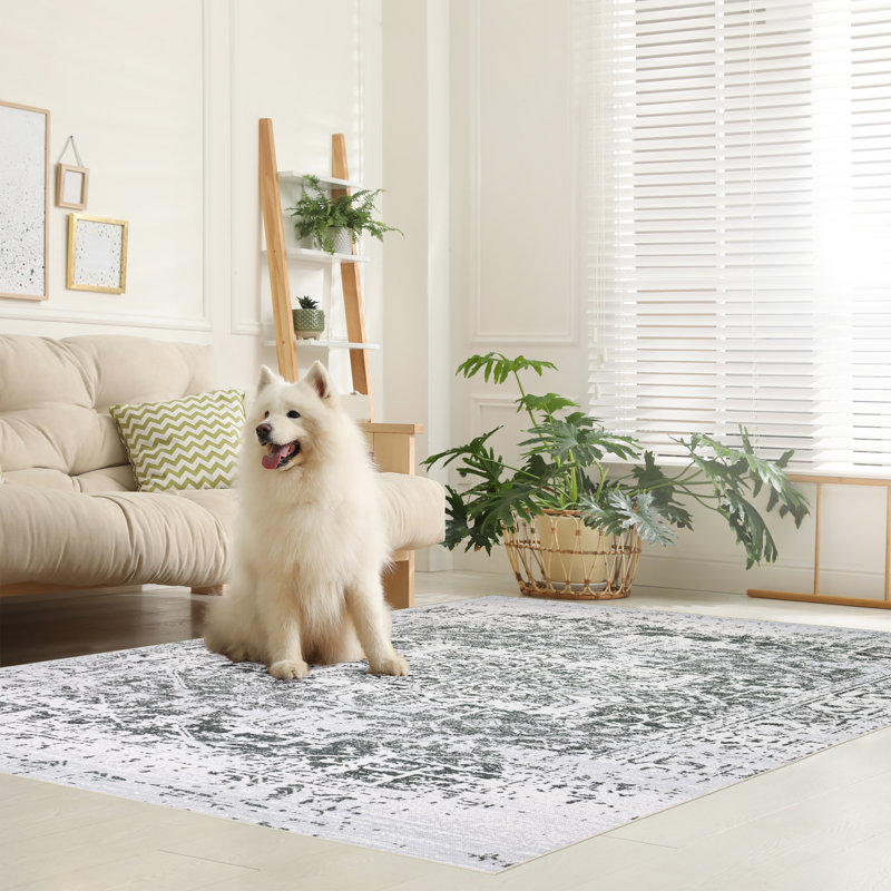 Washable Oriental Indoor Rug, Rectangle 4' x 6'