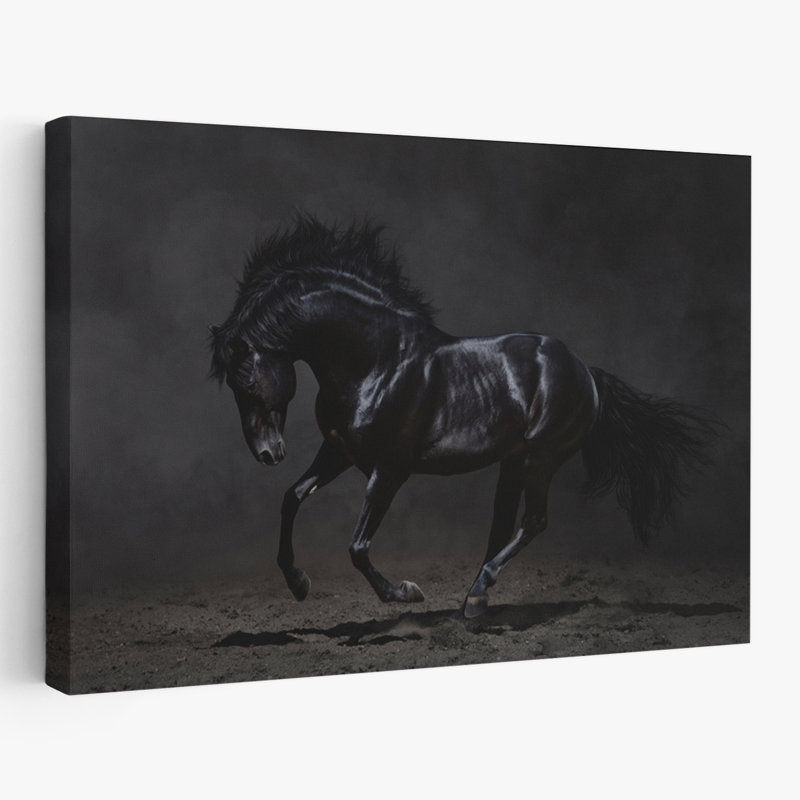 Onyx - photographie, animaux, chevaux, art, H 40 po x l 60 po