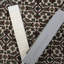 Terrice Southwestern Area Rug in Ivory
