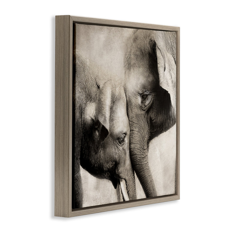 Cadre flottant éléphant et bébé, conception par CAD Designs, H 25 po x l 25 po, Cadre flottant orme Montalcino