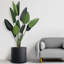 Ceramic Planter