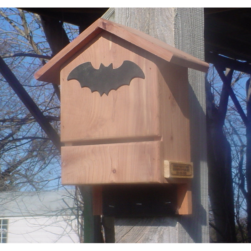 Petite maison de chauve-souris 3 chambres en cèdre