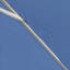 Parasol de marché 11'-88486229