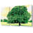 Green Tree - 3 Piece Wrapped Canvas Print-1434874588