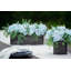 Centres de table mixtes en pot-239678552-239678553