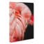 Pink Flamingo Abstract - Wrapped Canvas-56637692