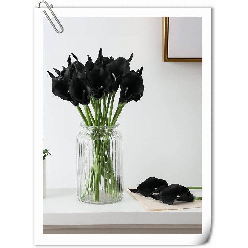 20 pièces de fleurs de lys Calla, Noir