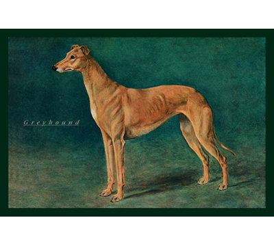Coursing Greyhound Graphic Art