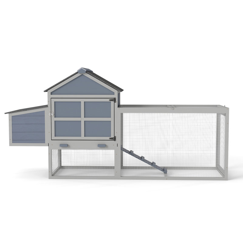 Outdoor Chicken Coop