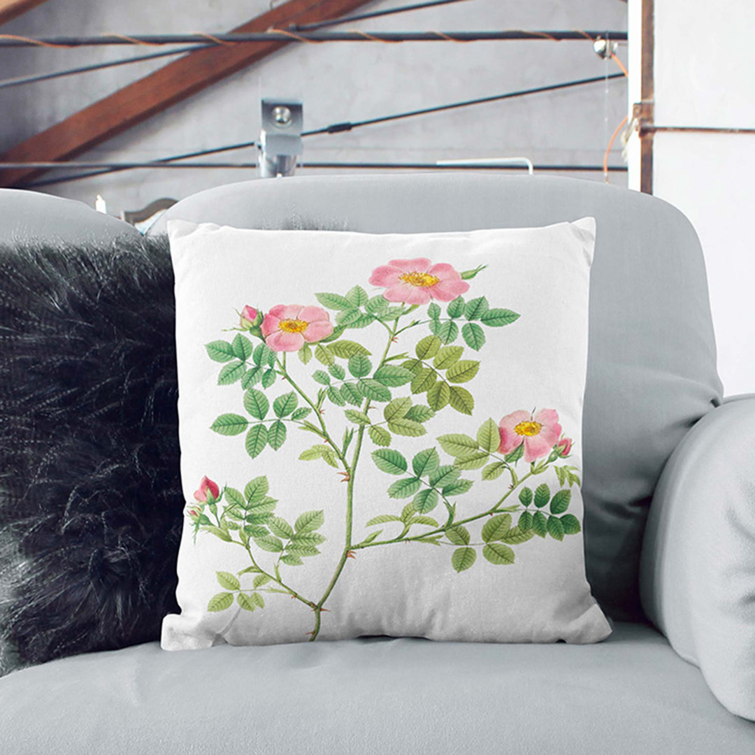 Corymb Rose by Pierre-Joseph Redoute Cushion with Filling