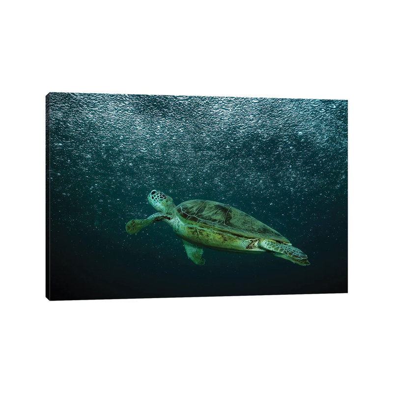 Rain 1 Piece Wrapped Canvas Wall Art, 20.32 cm H x 30.48 cm W