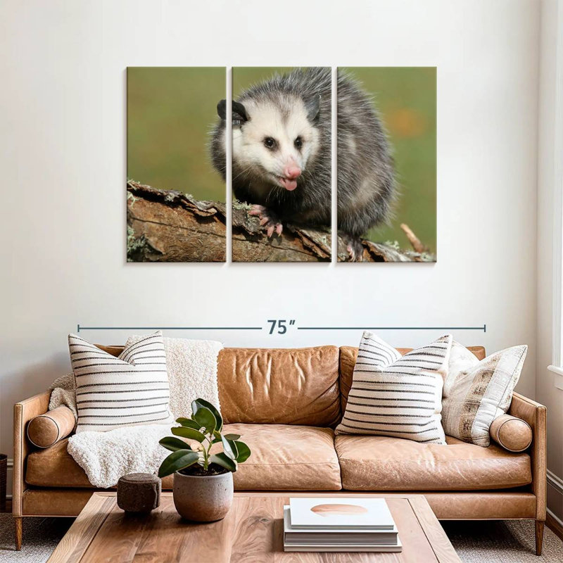 Bramble Angry Opossum, H 36 po x l 57 po