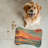 Vintage Sunset Art - Bone Shape Feeding Mat