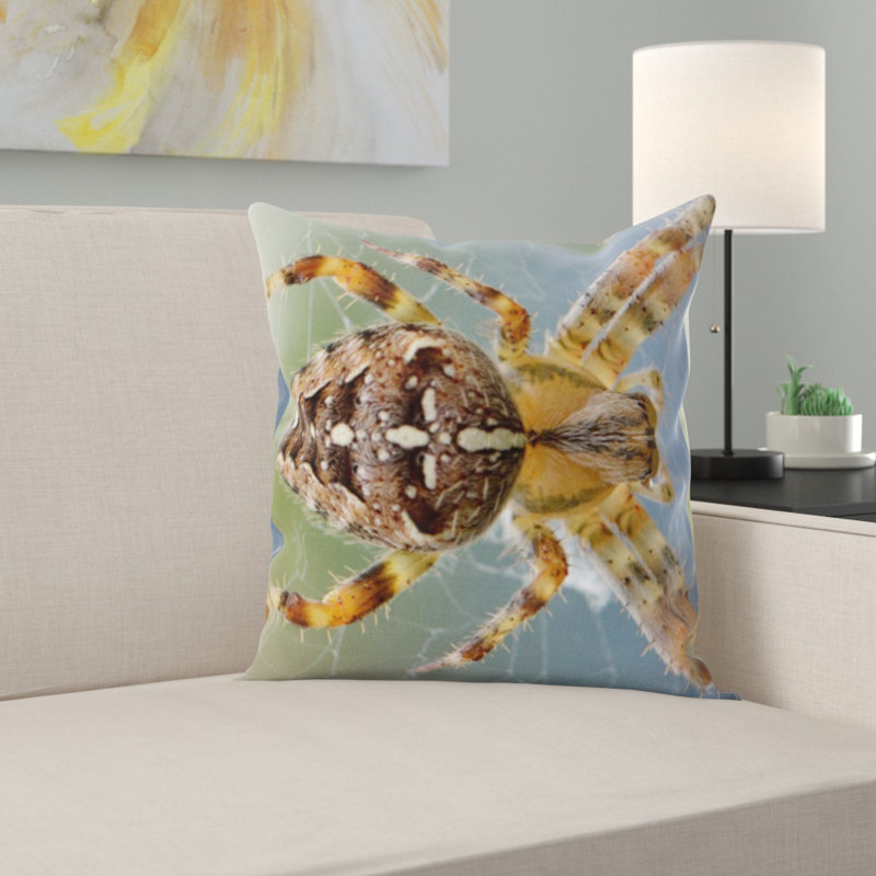 Coussin de spider