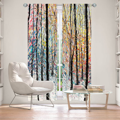 Room Darkening Curtain Pair