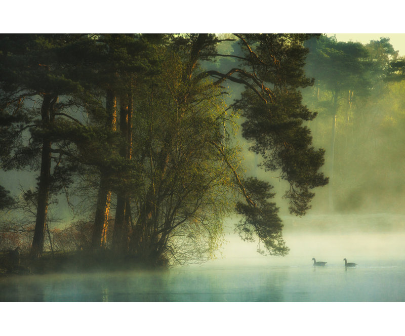 Wrapped Canvas Print, 81.28 cm H x 121.92 cm W