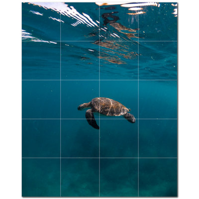 Turtle Photo 6'' x 6'' Satin Ceramic Decorative Mural