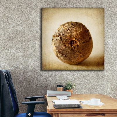 "Latitude Pod®" Oak Pods 5 "par Jessica Rogers, art mural sur toile