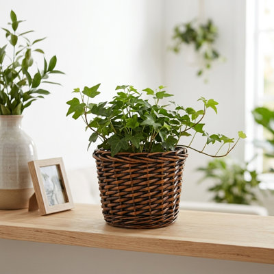 Theodis Round Willow Basket, Brown Planter & Storage Basket