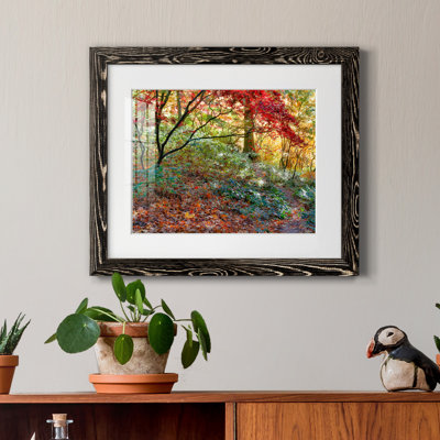 Secret Garden par J Paul - reproduction de photo sur papier encadrée