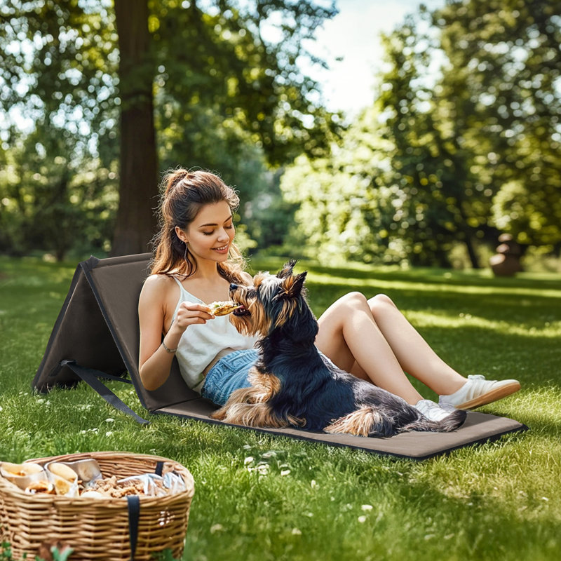 Tapis de plage portatif à dossier réglable pour adultes SUNJoy (ensemble de 1) -, Kaki