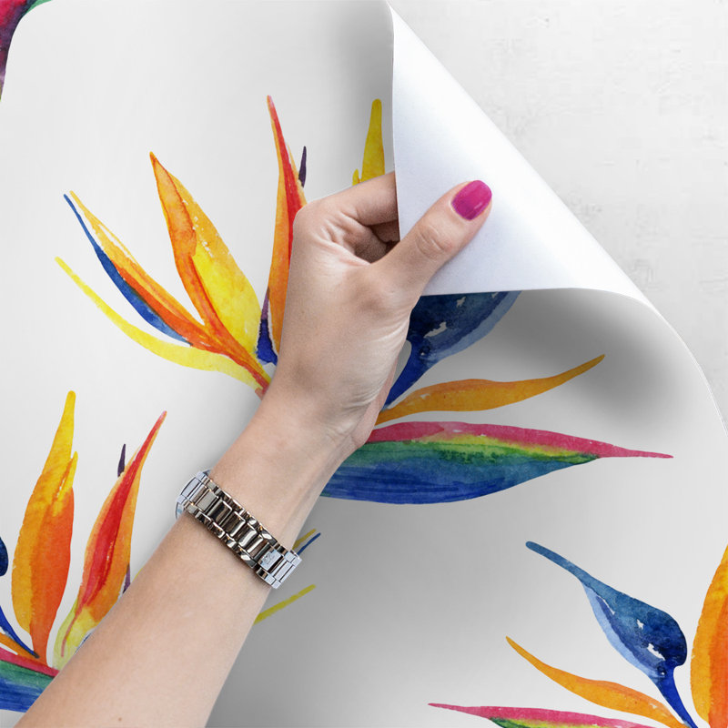 Lebofsky 2.5m x 2.5m Matte Mural, 312 x 219cm