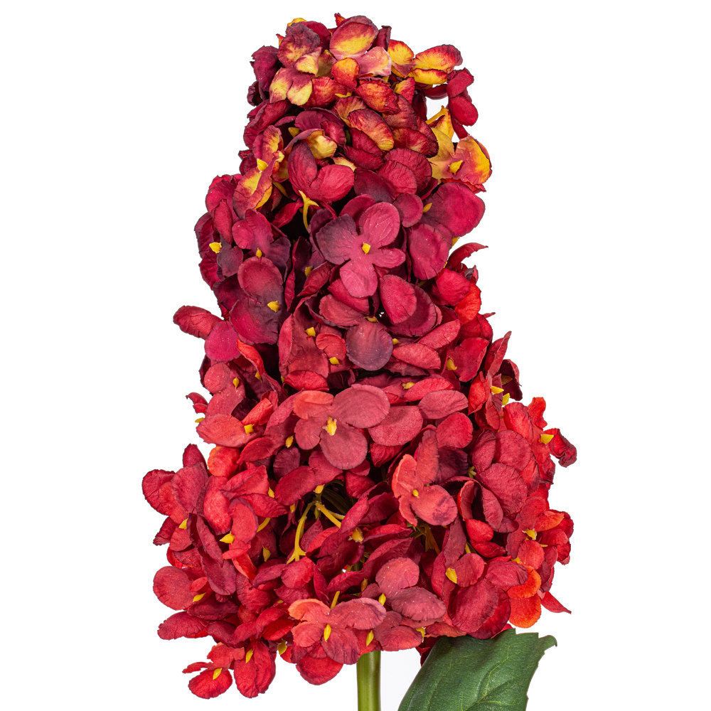 Hydrangea Floral Stems, Burgundy