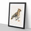 Bohemian Waxwing by Von Wright - Picture Frame Graphic Art Print-55513072-55513073