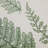 Ensemble d'art mural encadré 3 pièces Lady Fern Botanical Illustration