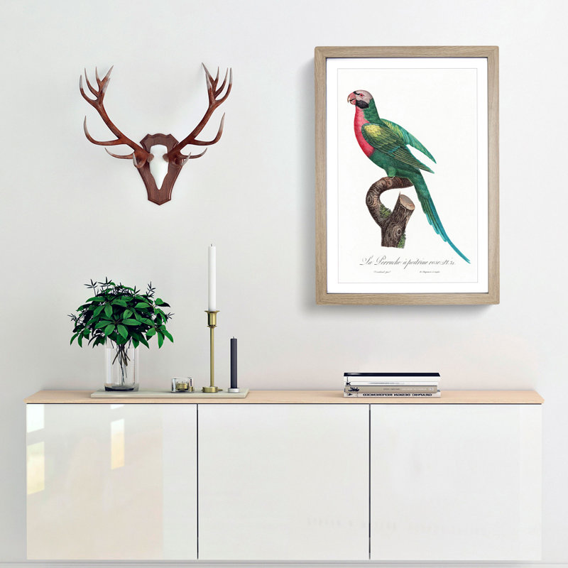Red-Breasted Parakeet by F. Levaillant - Picture Frame Painting Print, 65cm H x 48cm W x 2cm D, Oak Framed