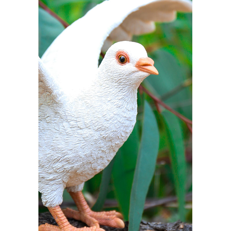 AILES DE PIGEON, Blanc