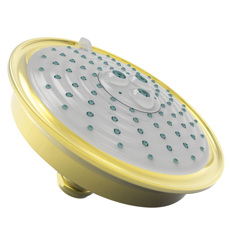 Multi Function Fixed Shower Head, Polished Gold