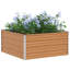 Raised Garden Bed-492257925