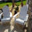 Mailloux Outdoor Folding Plastic Adirondack Chair-1424224950