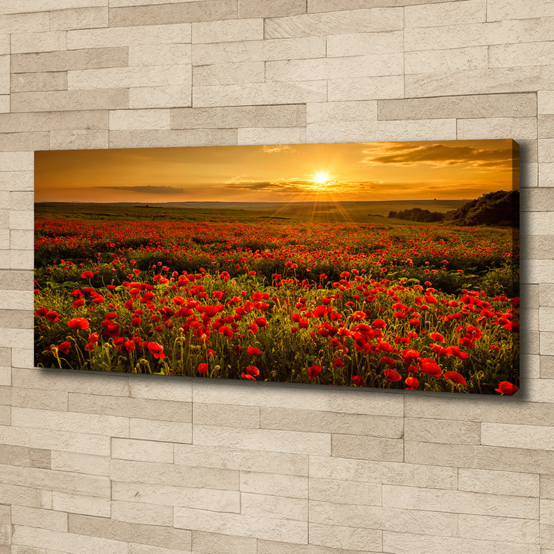 Field Of Poppies - Wrapped Canvas Print
