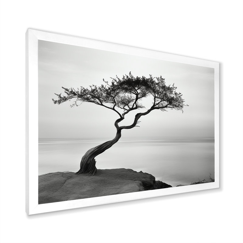 " Beach Solitude Tree Vision II ", 30" H x 40" W x 1.5" D, White Single Picture Framed