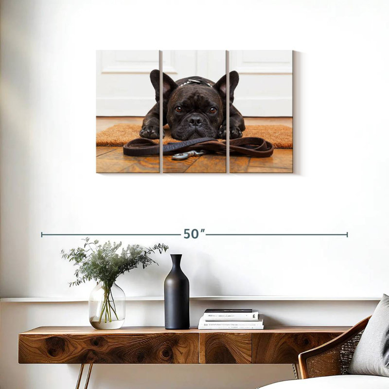 Bouledogue français en attente, H 20 po x l 33 po